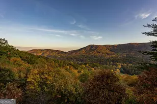 215 Snake Nation Overlook, Blue Ridge, GA 30513 - Photo 41