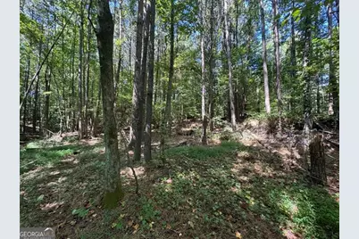 63 Hickory Creek Lane, Acworth, GA 30101 - Photo 9