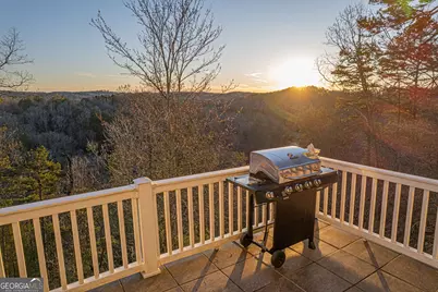 626 Palisade Drive # 9074, Ellijay, GA 30540 - Photo 35