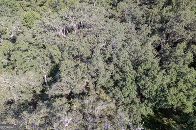 1538 Sanctuary Wynd, Waverly, GA 31565 - Photo 9