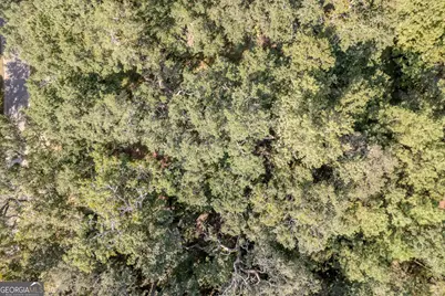 1538 Sanctuary Wynd, Waverly, GA 31565 - Photo 7