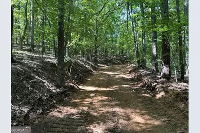 0 Super Deluxe Road, Rockmart, GA 30153 - Photo 7