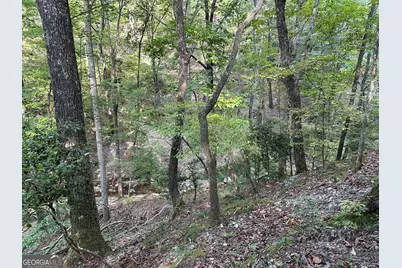 0 Super Deluxe Road, Rockmart, GA 30153 - Photo 31