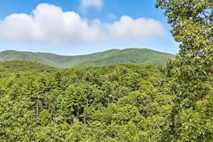 384 Mountain Laurel Dr, Ellijay, GA 30540 - Photo 9