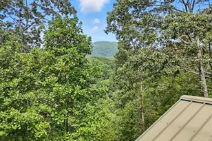 384 Mountain Laurel Dr, Ellijay, GA 30540 - Photo 7