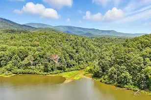 384 Mountain Laurel Dr, Ellijay, GA 30540 - Photo 13