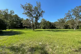 220 Strickland St, Reidsville, GA 30453 - Photo 11