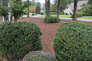 121 Tamerlane, Peachtree City, GA 30269 - Photo 51