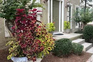 121 Tamerlane, Peachtree City, GA 30269 - Photo 15