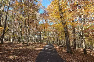 1063 Grindle Bridge Rd, Dahlonega, GA 30533 - Photo 39