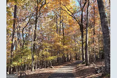 1063 Grindle Bridge Road, Dahlonega, GA 30533 - Photo 41