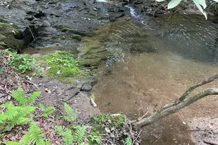 1063 Grindle Bridge Rd, Dahlonega, GA 30533 - Photo 23