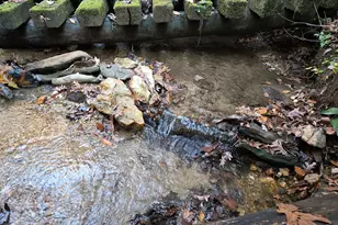 1063 Grindle Bridge Rd, Dahlonega, GA 30533 - Photo 33