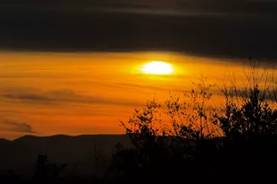 291 Pine Pass Cir, Mineral Bluff, GA 30559 - Photo 81