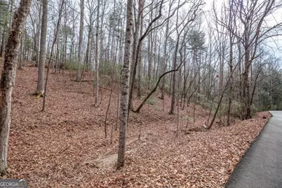 454, 455 Seneca Drive, Ellijay, GA 30540 - Photo 3