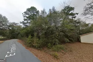 0 E Franklin Ave, Hawkinsville, GA 31036 - Photo 1