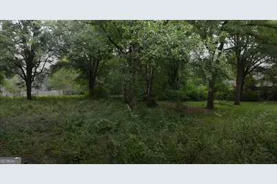 0 E Franklin Avenue, Hawkinsville, GA 31036 - Photo 3