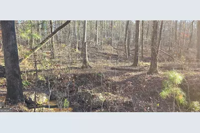 0 Malcom Road, Covington, GA 30014 - Photo 9