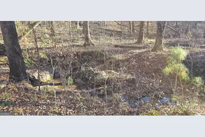 0 Malcom Road, Covington, GA 30014 - Photo 11