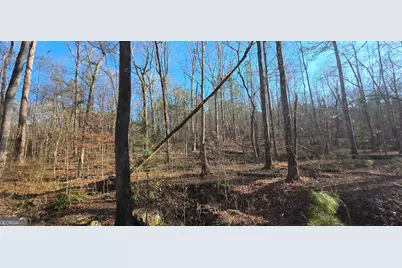 0 Malcom Road, Covington, GA 30014 - Photo 7