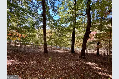 0 Forked Leaf Road, Cleveland, GA 30528 - Photo 7
