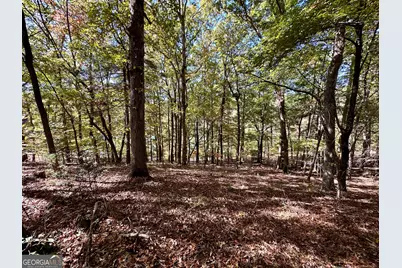 0 Forked Leaf Road, Cleveland, GA 30528 - Photo 5