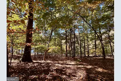 0 Forked Leaf Road, Cleveland, GA 30528 - Photo 9