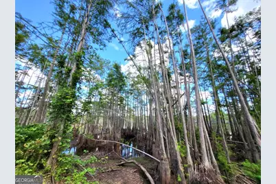 188 Brenda Road, Portal, GA 30450 - Photo 25