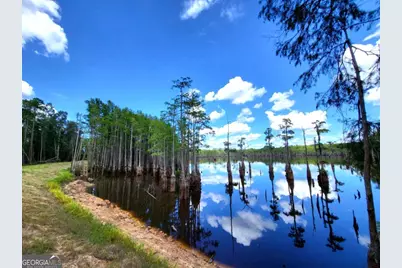 188 Brenda Road, Portal, GA 30450 - Photo 15