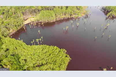 188 Brenda Road, Portal, GA 30450 - Photo 31