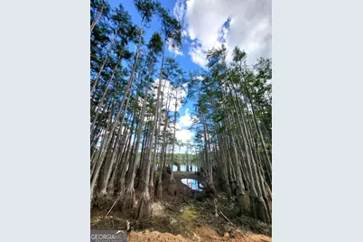 188 Brenda Road, Portal, GA 30450 - Photo 29