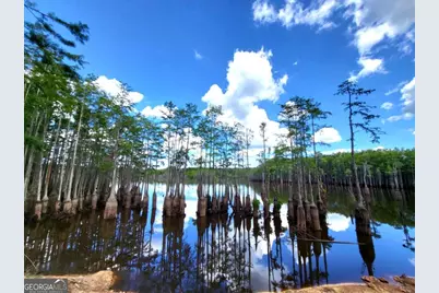 188 Brenda Road, Portal, GA 30450 - Photo 13