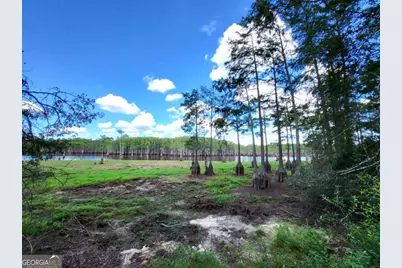 188 Brenda Road, Portal, GA 30450 - Photo 45