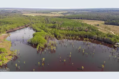 188 Brenda Road, Portal, GA 30450 - Photo 33