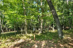 529 Eden Cir, Cleveland, GA 30528 - Photo 45