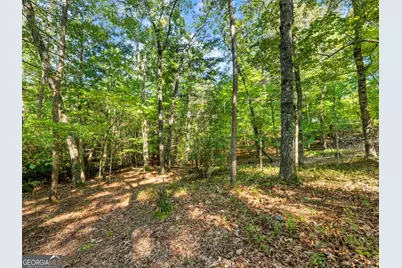 529 Eden Circle, Cleveland, GA 30528 - Photo 47
