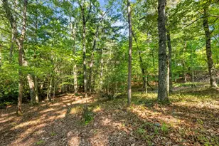 529 Eden Cir, Cleveland, GA 30528 - Photo 47