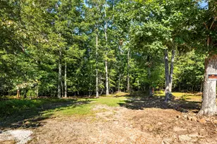 529 Eden Cir, Cleveland, GA 30528 - Photo 43