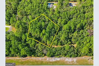 111 Canoe Run, Woodbine, GA 31569 - Photo 1