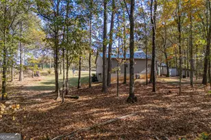 335 Gum Creek Rd, Roopville, GA 30170 - Photo 17