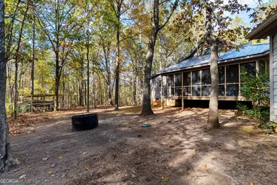 335 Gum Creek Road, Roopville, GA 30170 - Photo 11