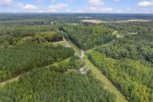 5321 Hwy 15 S, Greensboro, GA 30642 - Photo 47