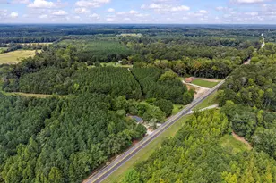 5321 Hwy 15 S, Greensboro, GA 30642 - Photo 49