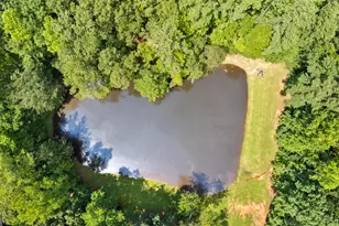 160 Carrington Ln, Brooks, GA 30205 - Photo 69