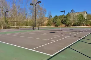 201 Fox Hall Crossing E, Senoia, GA 30276 - Photo 53