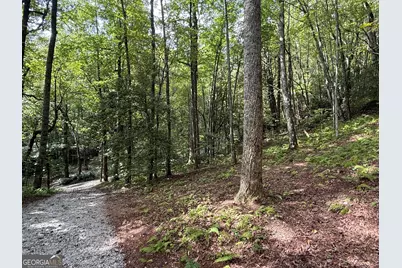 0 Honey Bear, Dillard, GA 30537 - Photo 3