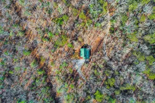 55 Deer Watch Ln, Blue Ridge, GA 30513 - Photo 37