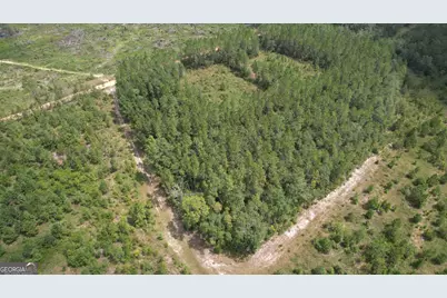 0 Asa Lindsey Road, Kite, GA 31049 - Photo 3