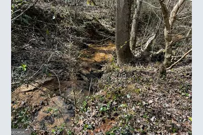 133 Hillandale Street, Cornelia, GA 30531 - Photo 27