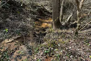 133 Hillandale St, Cornelia, GA 30531 - Photo 27